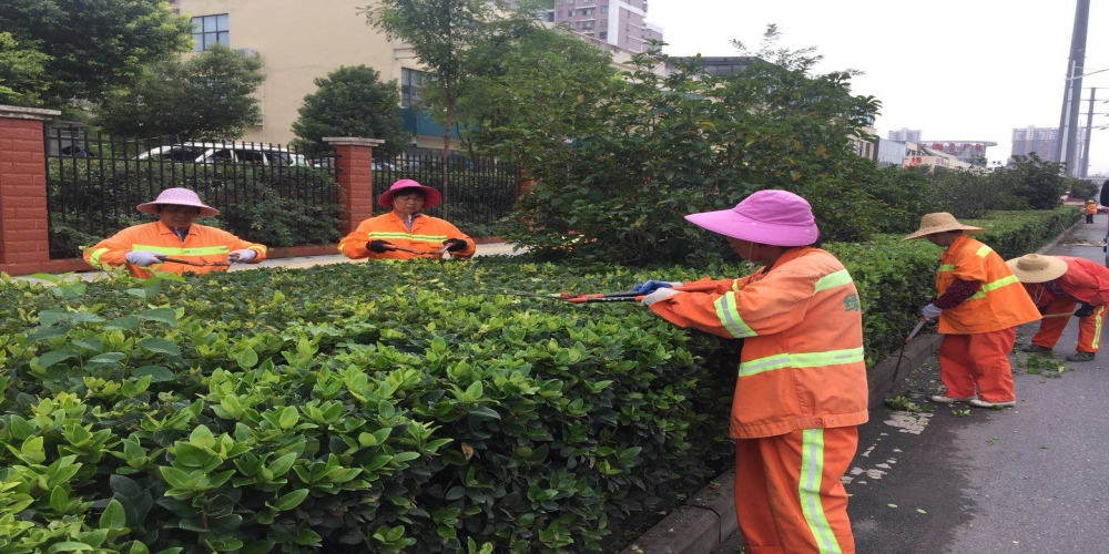 新站區(qū)道路清掃保潔、綠化管養(yǎng)項目