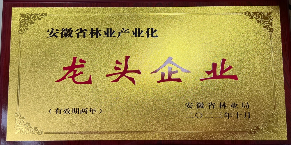 綠葉集團榮獲“安徽省林業(yè)產(chǎn)業(yè)化龍頭企業(yè)”稱號